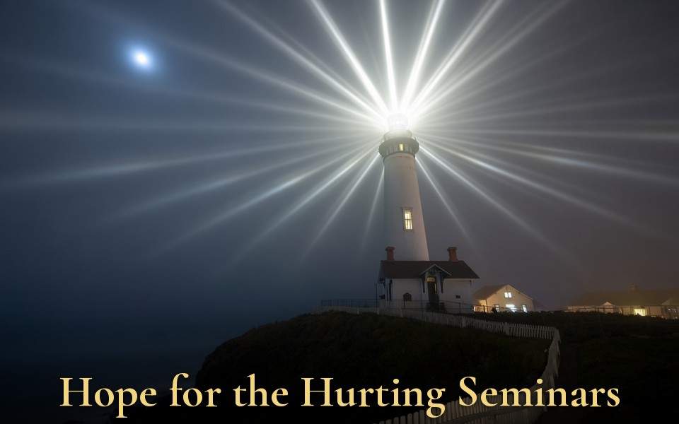 Hope for the Hurting Seminars website thumbnail